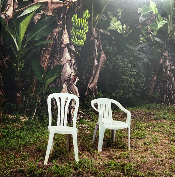 Bad Bunny — Debí Tirar Más Fotos vinyl record cover