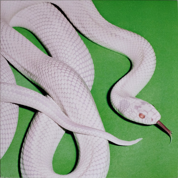 Deftones — Private Music vinyl record cover