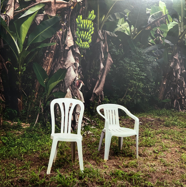 Bad Bunny — Debí Tirar Más Fotos vinyl record cover