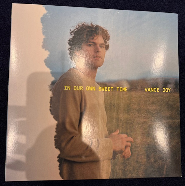 Vance Joy — In Our Own Sweet Time vinyl record cover