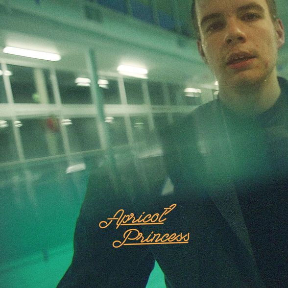 Rex Orange County — Apricot Princess vinyl record cover